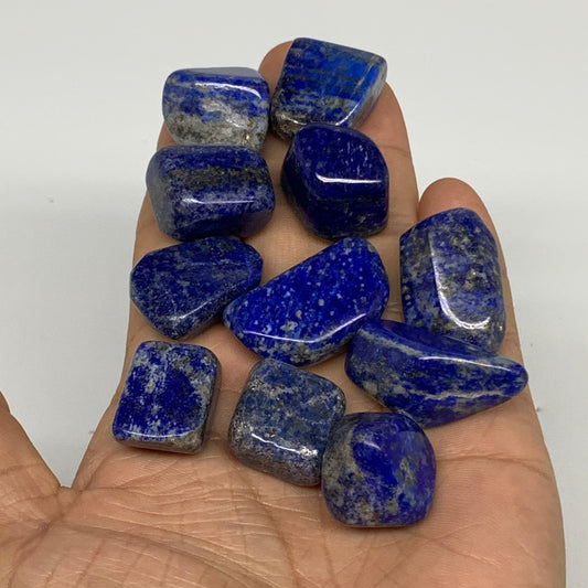 129.9g,0.6"-1.2", 11pcs, Natural Lapis Lazuli Tumbled Stone @Afghanistan, B30265