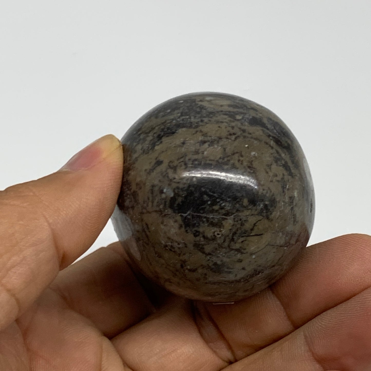 142g, 2.3"x1.6", Natural Fossil Orthoceras Stone Egg from Morocco, B31056