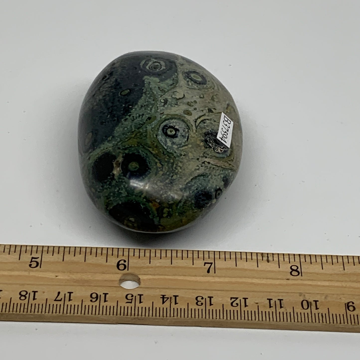 183.2g, 3"x2"x1.2", Crocodile Kambaba Jasper Palm-Stone, B37594