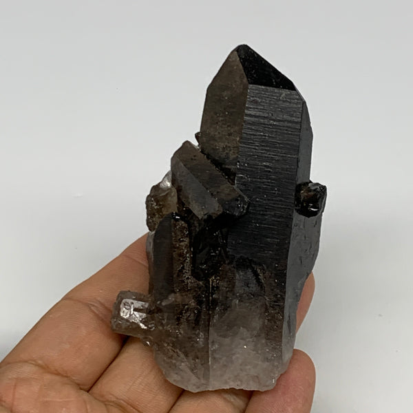 129.6g,3.3"x1.7"x1.6",Smoky Quartz Crystal Mineral,Specimen Terminated,B28819