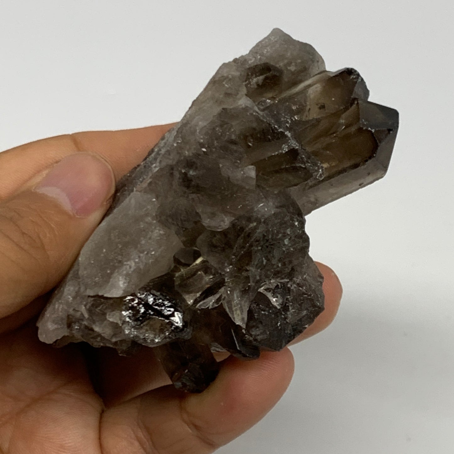 150.3g,3.1"x2.2"x1.6",Smoky Quartz Crystal Mineral,Specimen Terminated,B28824