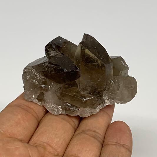 92g,2.4"x1.6"x1.5",Smoky Quartz Crystal Mineral,Specimen Terminated,B28828