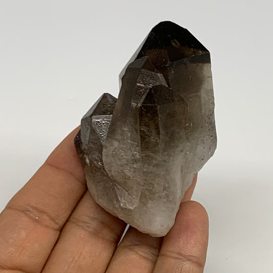 104.4g,2.7"x1.8"x1.4",Smoky Quartz Crystal Mineral,Specimen Terminated,B28830