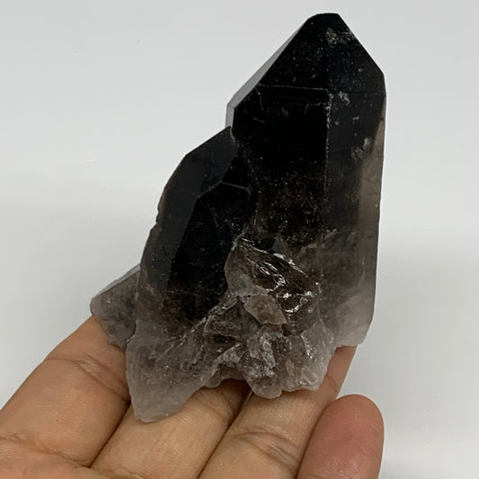 136.3g,2.8"x2.2"x1.8",Smoky Quartz Crystal Mineral,Specimen Terminated,B28947