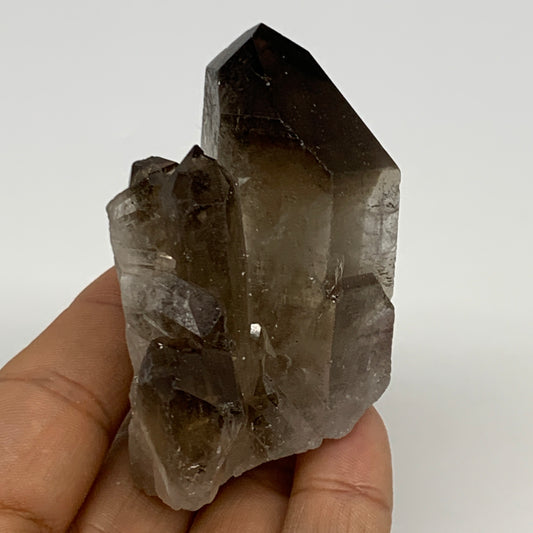 113.5g,2.8"x2"x1.6",Smoky Quartz Crystal Mineral,Specimen Terminated,B28948