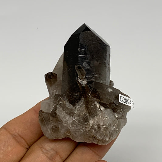 85.9g,2.6"x2"x1.5",Smoky Quartz Crystal Mineral,Specimen Terminated,B28949