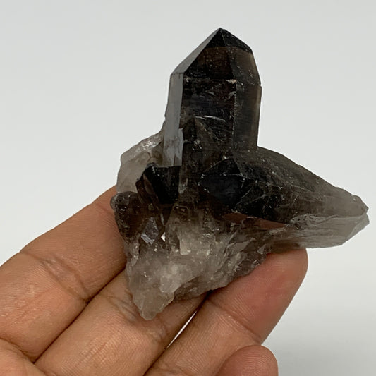 76.5g,2.5"x2.2"x1.3",Smoky Quartz Crystal Mineral,Specimen Terminated,B28956