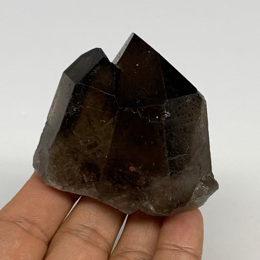 137.1g,2.3"x2.4"x1.2",Smoky Quartz Crystal Mineral,Specimen Terminated,B28968