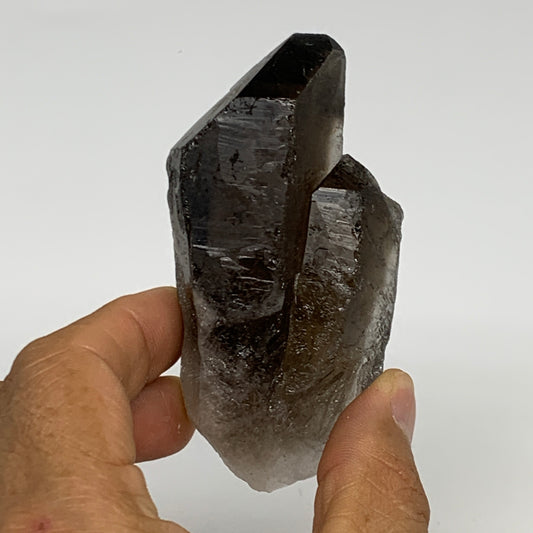 120.8g,3.4"x1.8"x1",Smoky Quartz Crystal Mineral,Specimen Terminated,B28973