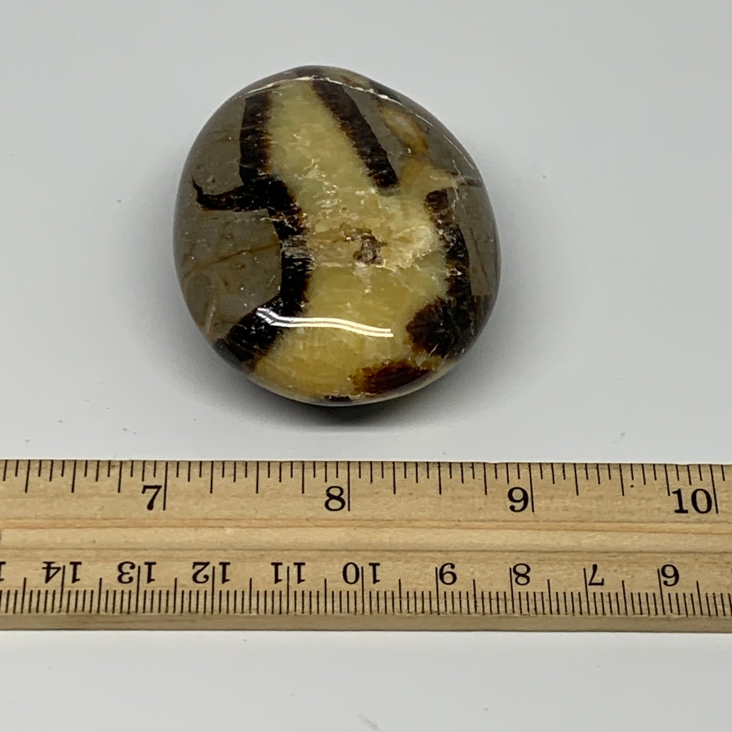116.2g,2.5"x1.9"x1.1", Septarian Nodule Palm-Stone Polished Reiki Crystal, B2826