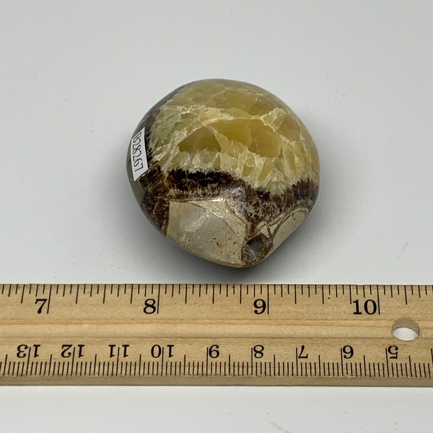108.1g,2.3"x1.8"x1.2", Septarian Nodule Palm-Stone Polished Reiki, B28267