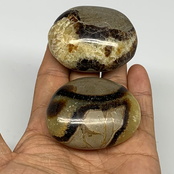 164.4g, 2.1"-2.1", 2pcs, Septarian Nodule Palm-Stone Polished Reiki Crystal, B28