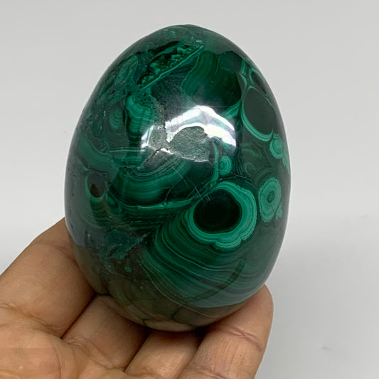 0.85 lbs, 2.9"x2.1", Natural Solid Malachite Egg Polished Gemstone @Congo, B3276