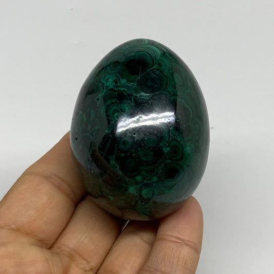 234.5g, 2.3"x1.7", Natural Solid Malachite Egg Polished Gemstone @Congo, B32767