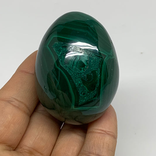 171g, 2.1"x1.6", Natural Solid Malachite Egg Polished Gemstone @Congo, B32769