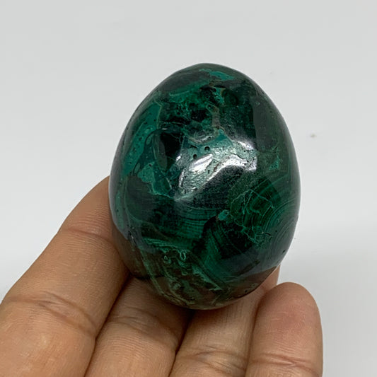 140g, 2"x1.5", Natural Solid Malachite Egg Polished Gemstone @Congo, B32771