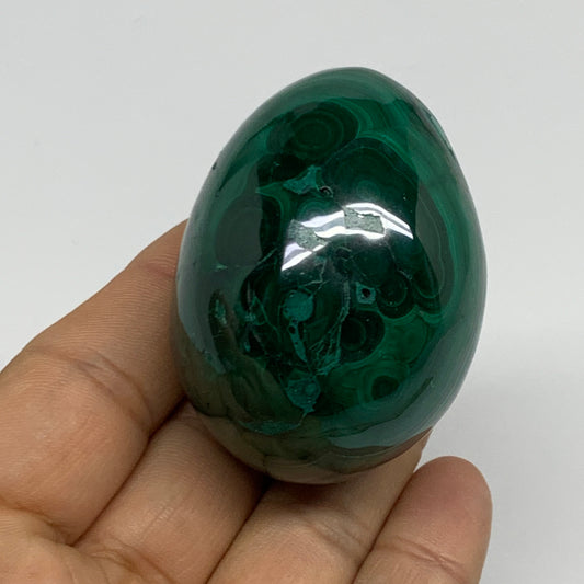 170g, 2.1"x1.5", Natural Solid Malachite Egg Polished Gemstone @Congo, B32772