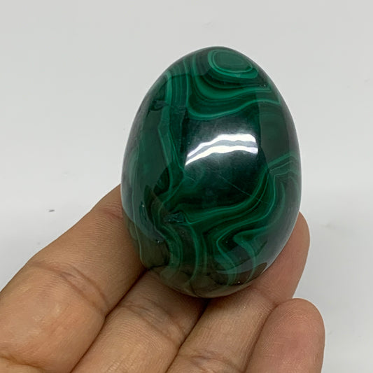137.7g, 2"x1.5", Natural Solid Malachite Egg Polished Gemstone @Congo, B32773