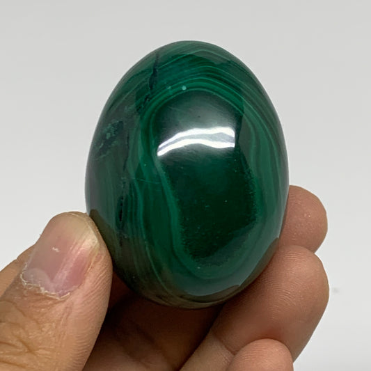 121.7g, 1.9"x1.4", Natural Solid Malachite Egg Polished Gemstone @Congo, B32774