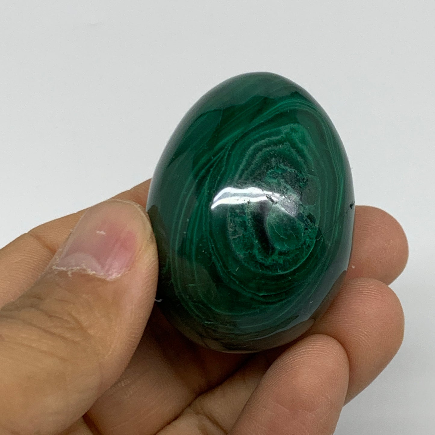 102g, 1.8"x1.3", Natural Solid Malachite Egg Polished Gemstone @Congo, B32781