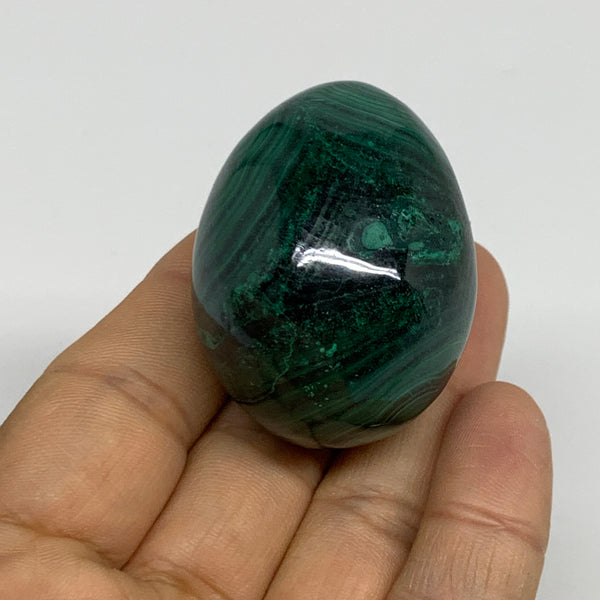 102.1g, 1.8"x1.3", Natural Solid Malachite Egg Polished Gemstone @Congo, B32782