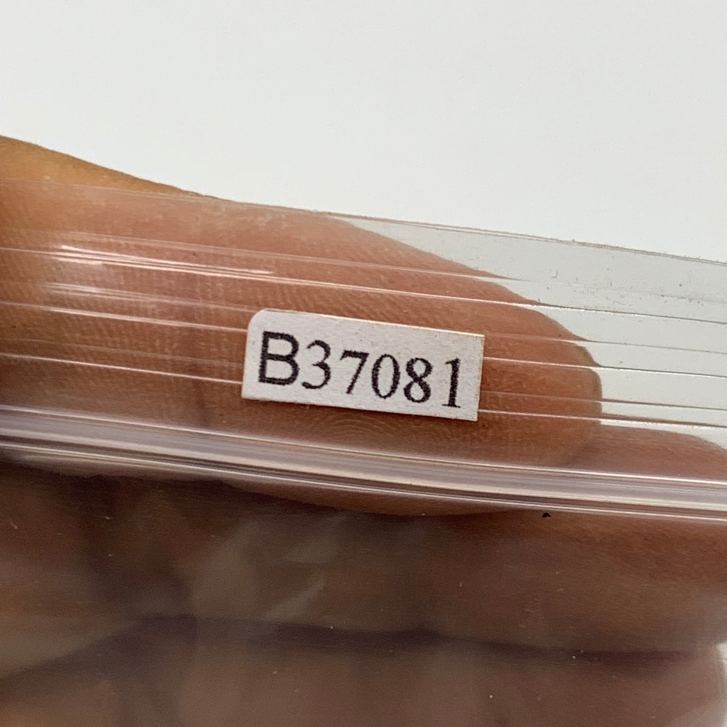 99.9g, 1.5", 2pcs, Rough Hematite Botryoidal Mineral Crystal @Morocco, B37081