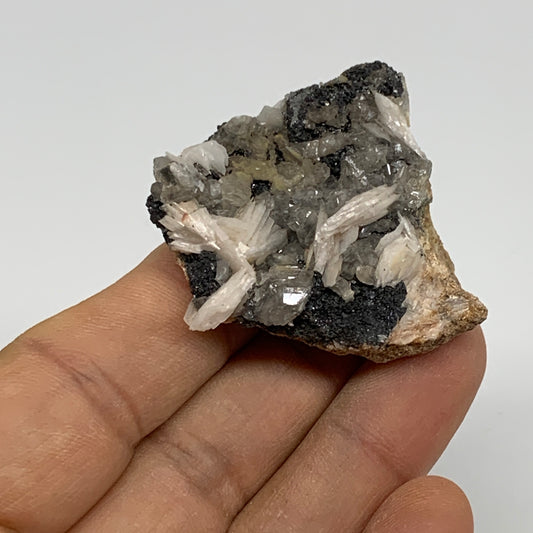 49.5g, 1.4"x1.4"x0.9", Cerussite on Galena Barite Quartz Mineral Specimen, B33487
