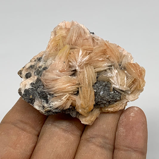 83.4g, 2.3"x2"x0.9", Barite with Cerussite on Galena Mineral Specimen, B33515