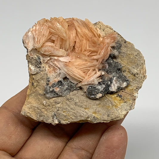 101.5g, 2.2"x2"x1", Barite with Cerussite on Galena Mineral Specimen, B33522