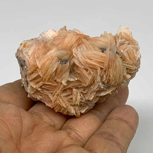 144.7g, 2.1"x1.5"x1.6", Barite with Cerussite on Galena Mineral Specimen, B33523