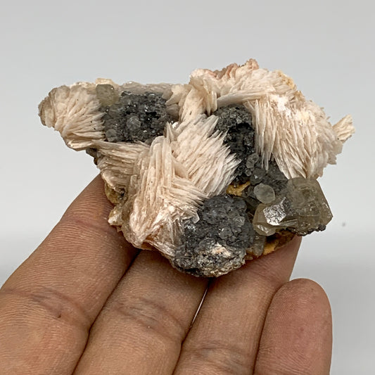 100g, 2.6"x1.8"x1", Barite With Cerussite on Galena Mineral Specimen, B33529