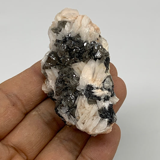 144.1g, 2.6"x1.2"x1.4", Barite With Cerussite on Galena Mineral Specimen, B33530