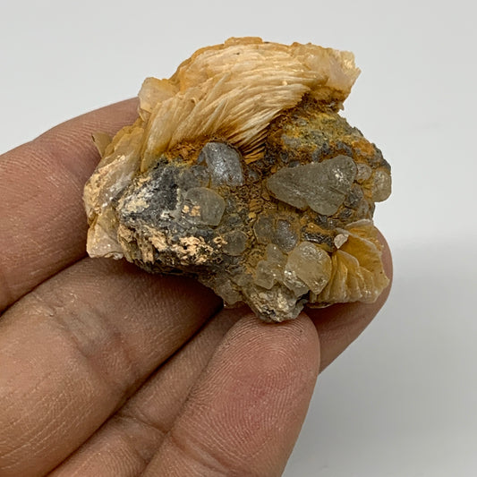 59.7g, 1.5"x1.7"x0.8", Barite With Cerussite on Galena Mineral Specimen, B33532