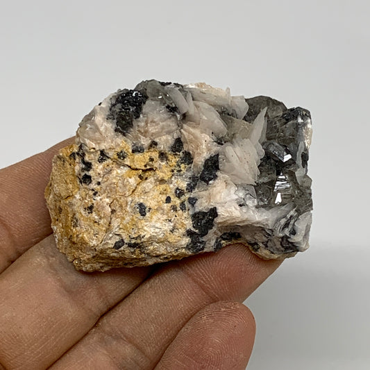 64.3g, 2"x1.3"x0.9", Barite With Cerussite on Galena Mineral Specimen, B33533