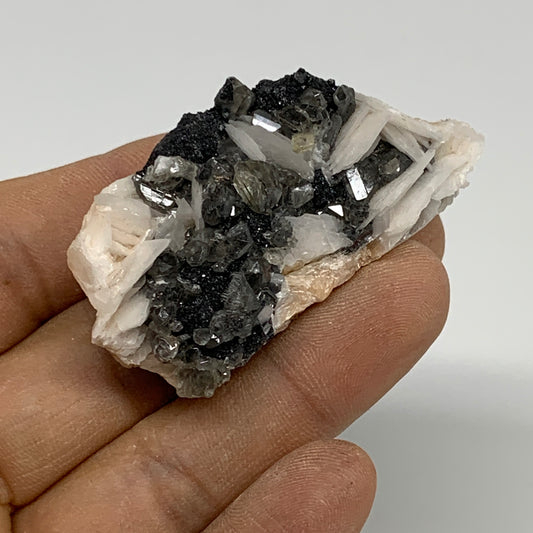 62.6g, 2.1"x0.9"x1", Barite With Cerussite on Galena Mineral Specimen, B33534