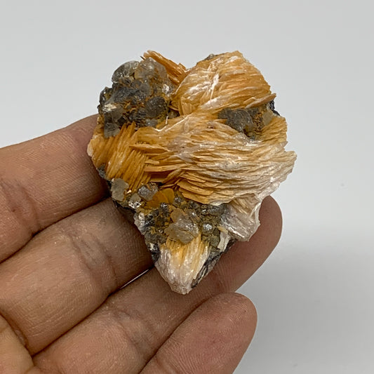 96.6g, 2.1"x1.5"x1", Barite With Cerussite on Galena Mineral Specimen, B33535