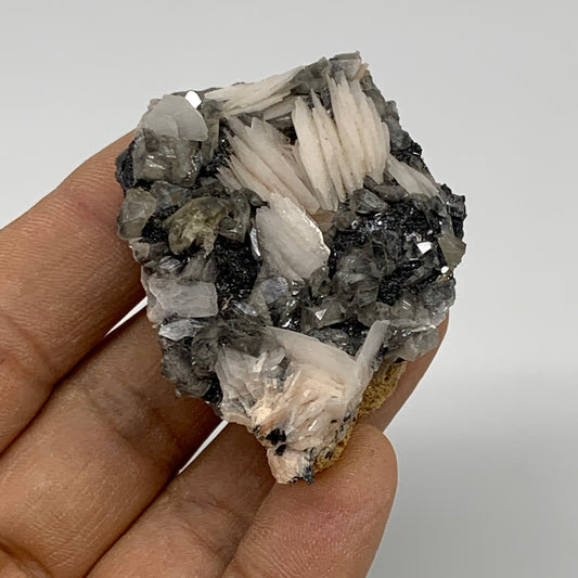 88g, 2"x1.7"x1.1", Barite With Cerussite on Galena Mineral Specimen, B33538