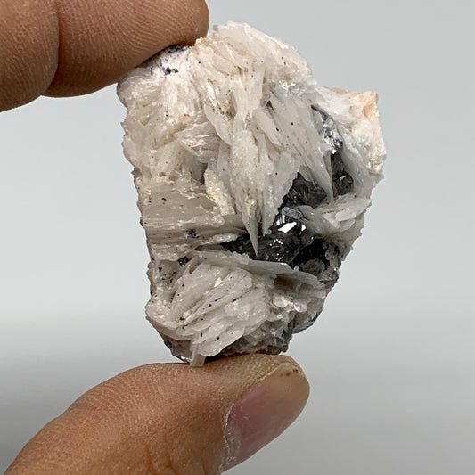 71.6g, 1.6"x1.2"x1.1", Barite With Cerussite on Galena Mineral Specimen, B33539