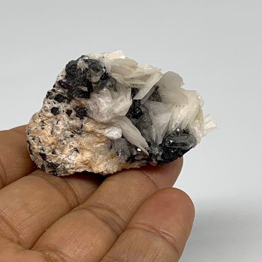 59.9g, 2"x1.5"x0.8", Barite With Cerussite on Galena Mineral Specimen, B33546