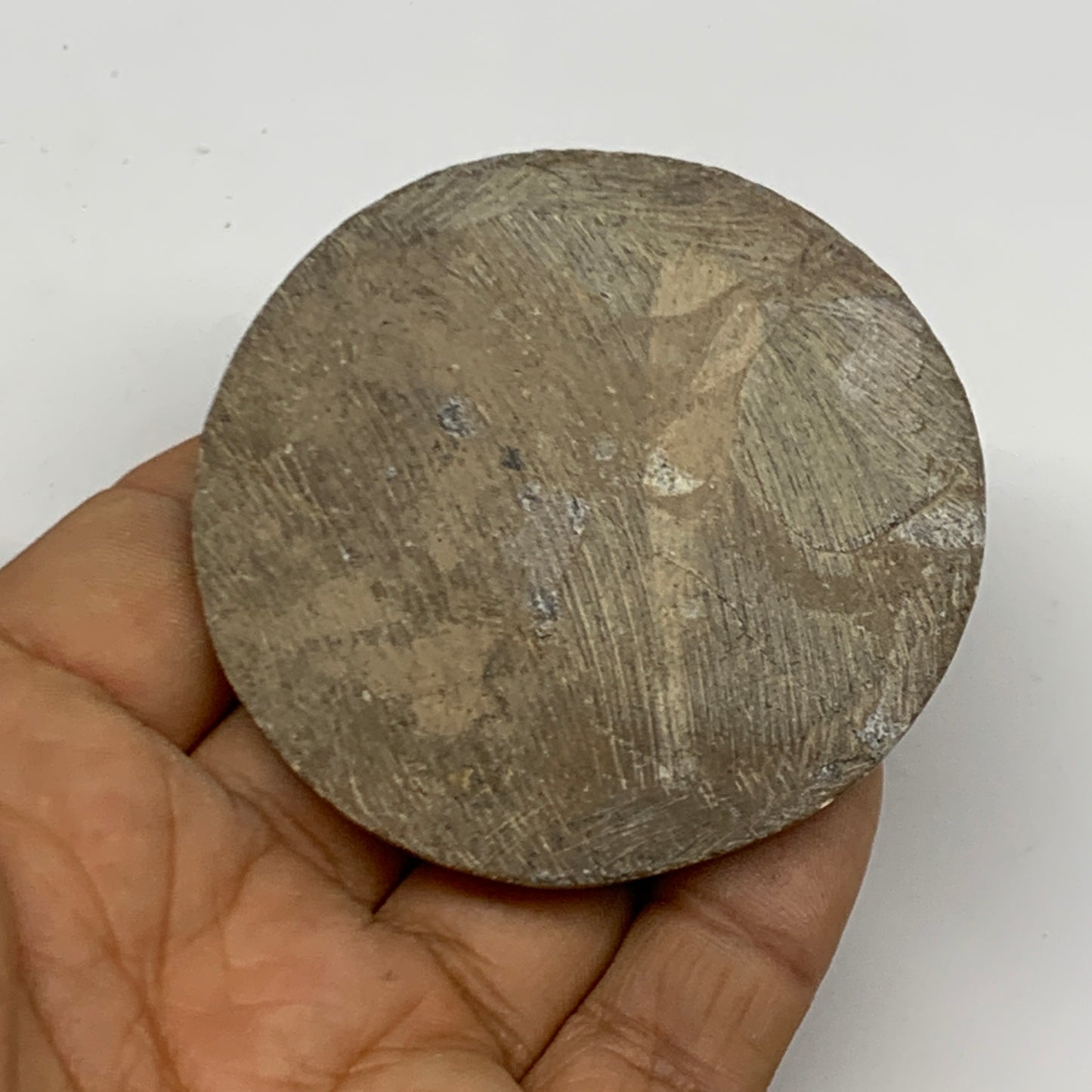 65.6g, 2.5"x2.4"x0.5", Goniatite (Button) Ammonite Polished Fossils, B30068