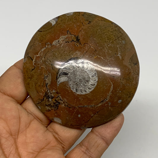95.2g, 2.8"x2.8"x0.6", Goniatite (Button) Ammonite Polished Fossils, B30094