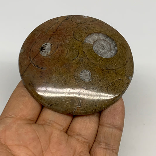80.8g, 2.8"x2.8"x0.5", Goniatite (Button) Ammonite Polished Fossils, B30099