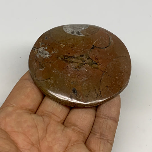 72.2g, 2.7"x2.7"x0.5", Goniatite (Button) Ammonite Polished Fossils, B30101