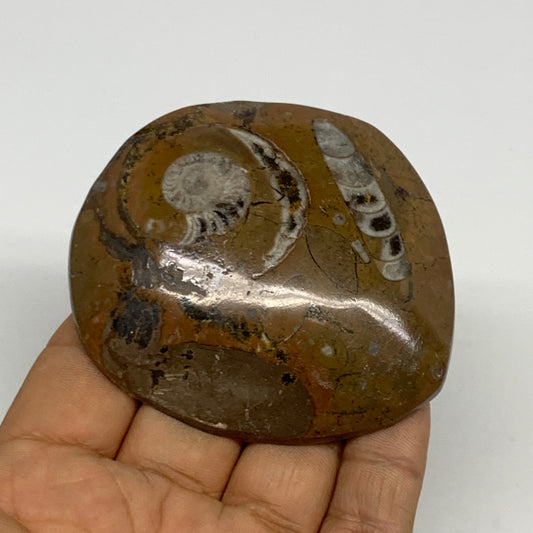 93.3g, 2.8"x2.5"x0.6", Goniatite (Button) Ammonite Polished Fossils, B30108