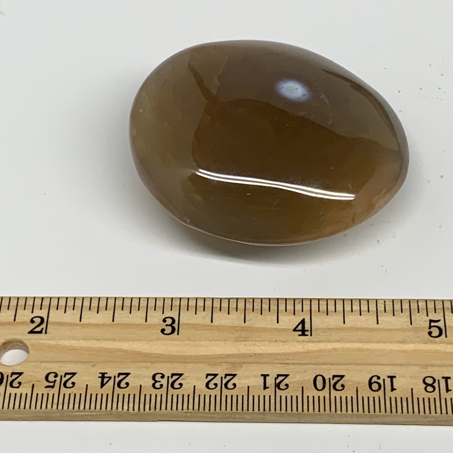 91.2g, 2.3"x2.1""x1" Orca Agate Palm-Stone Reiki Energy Crystal Reiki, B28715