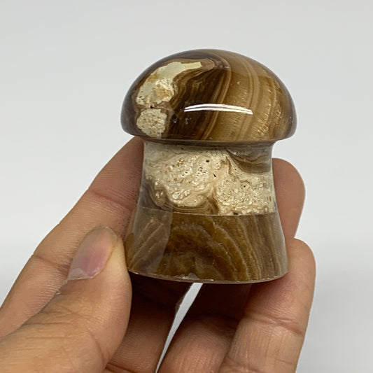 100g, 1.9"x1.4", Chocolate Calcite Mushroom 2 Pieces bonded @Pakistan, B31712