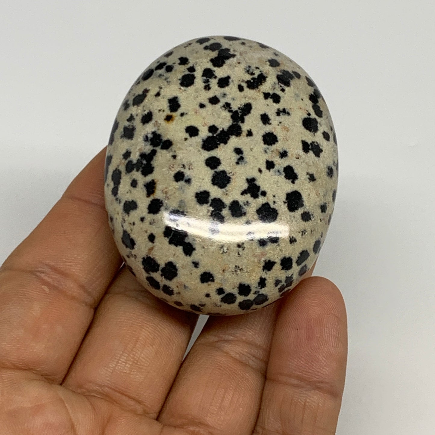 87.1g, 2.2"x1.8"x0.9", Natural Dalmatian Jasper Palm-Stone @India, B29443