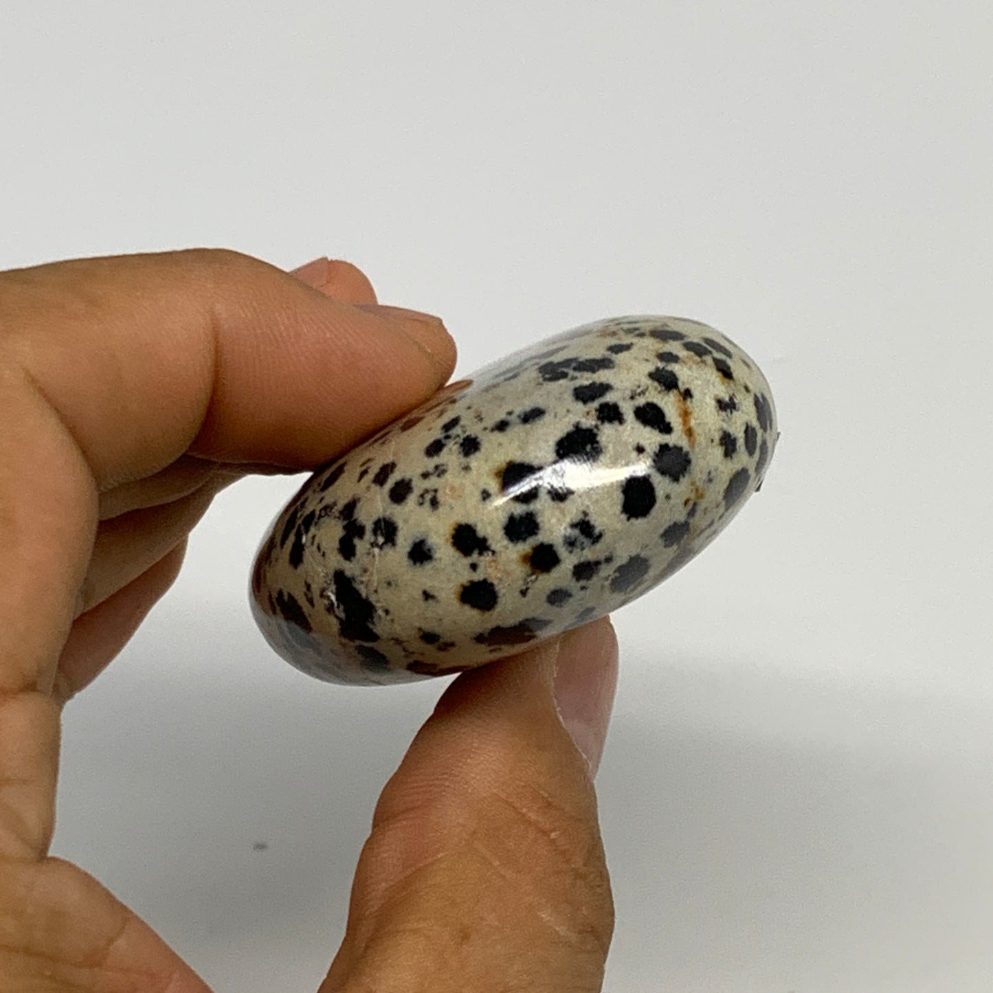 83.7g, 2.2"x1.7"x0.8", Natural Dalmatian Jasper Palm-Stone @India, B29449