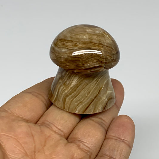 82.7g, 1.6x1.4", Chocolate Calcite Mushroom 2 Pieces bonded @Pakistan, B31700