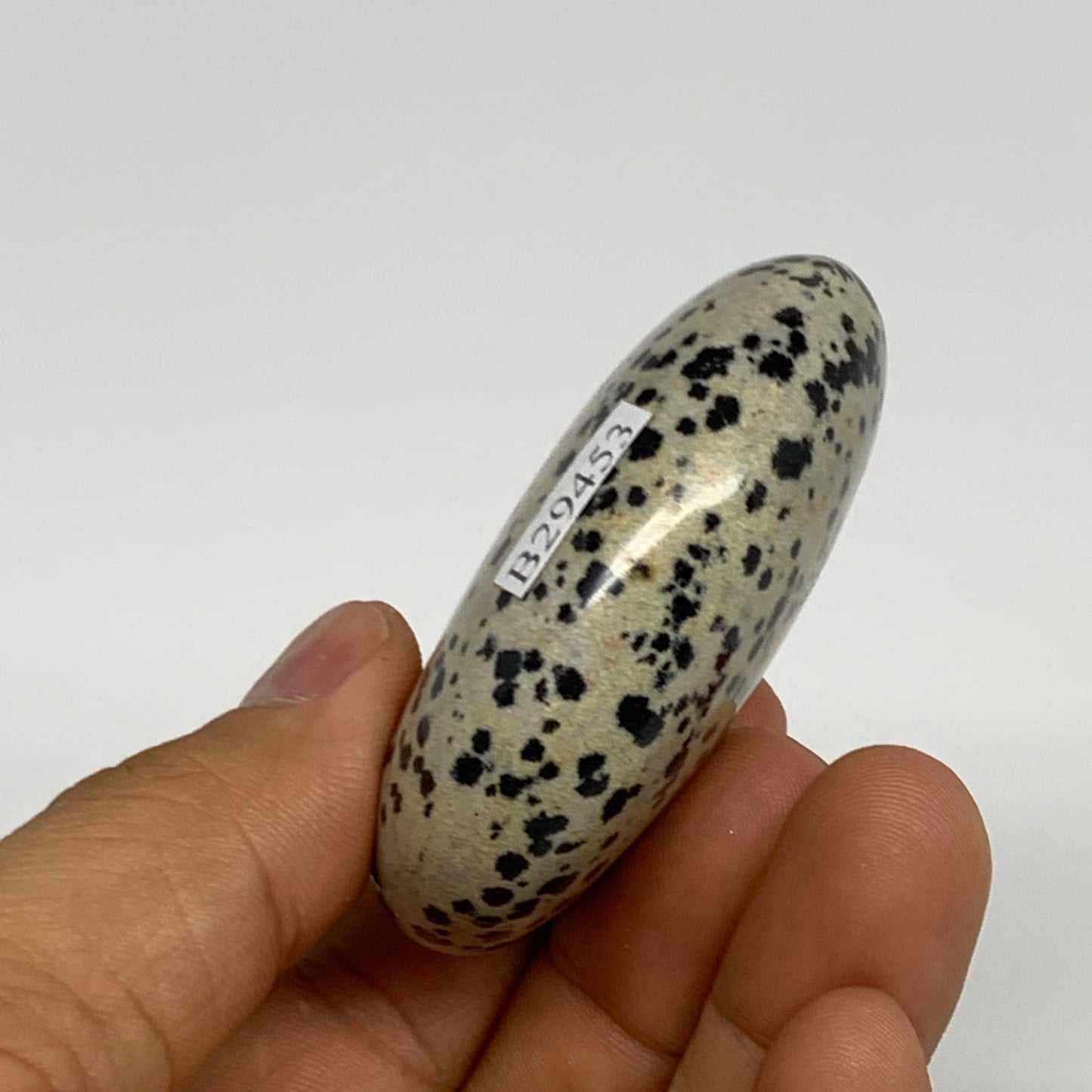78.1g, 2.2"x1.7"x0.8", Natural Dalmatian Jasper Palm-Stone @India, B29453